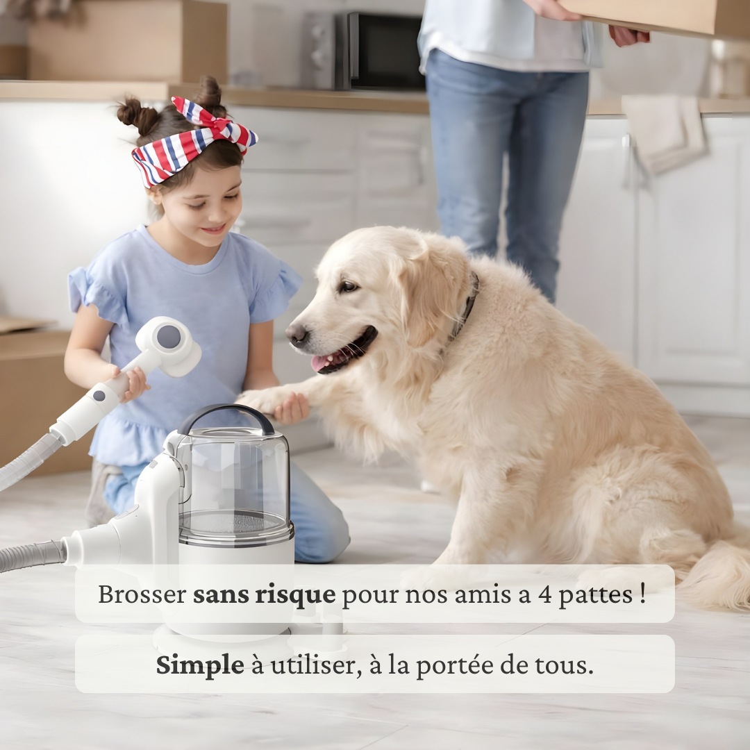 Aspirateur toilettage Chien