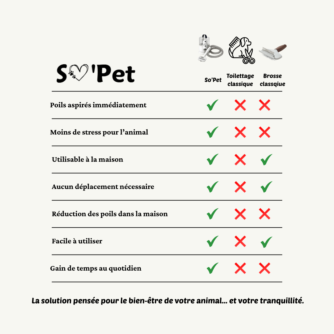 Aspirateur toilettage Chien