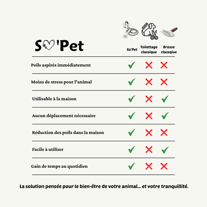 Aspirateur toilettage Chien