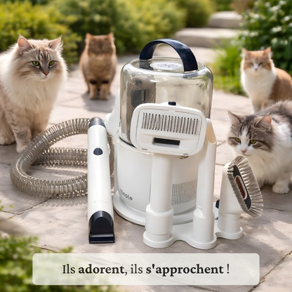 Aspirateur toilettage Chien