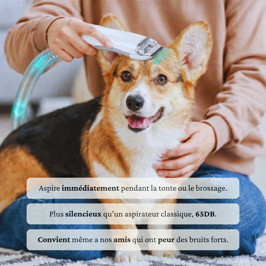 Aspirateur toilettage Chien