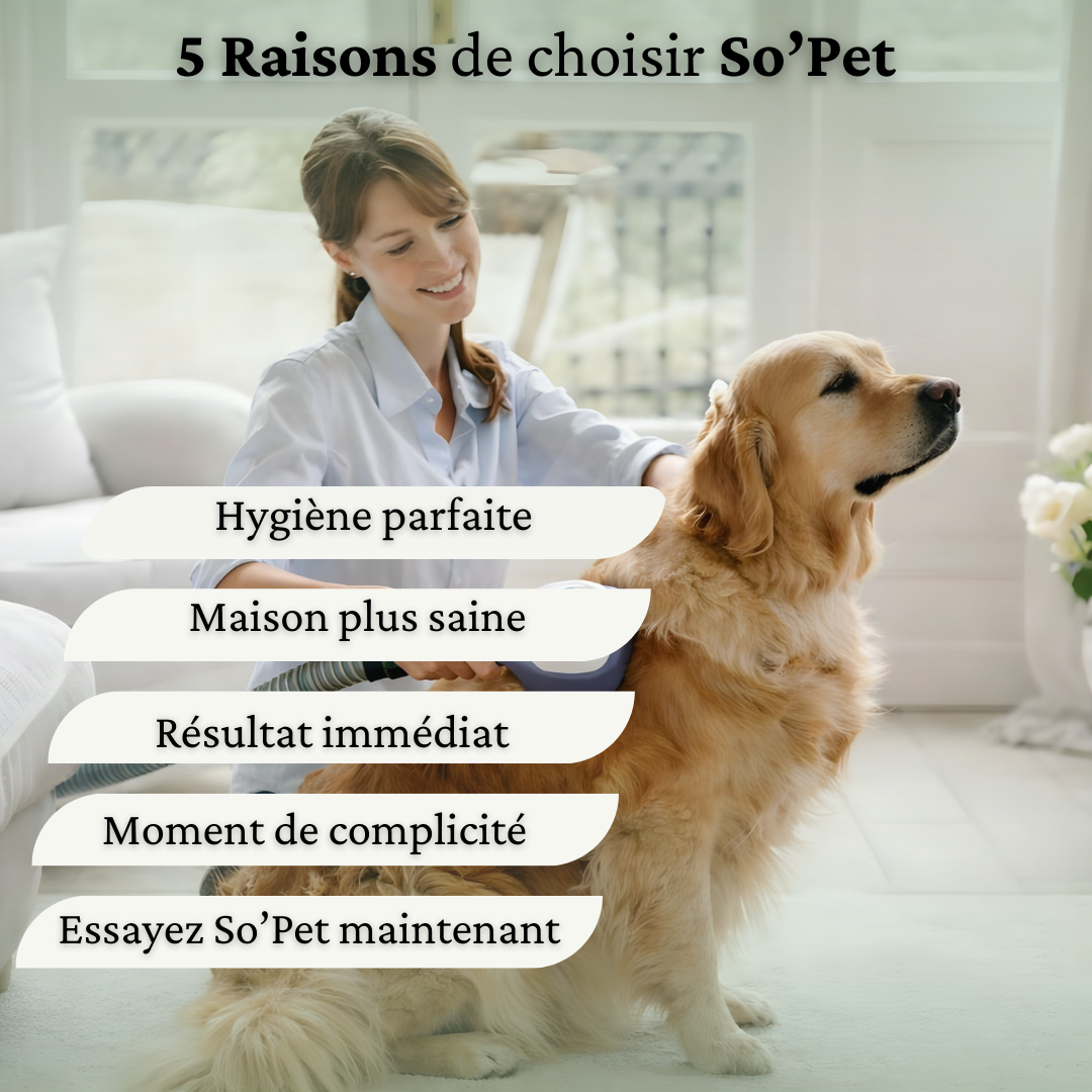 Aspirateur toilettage Chien