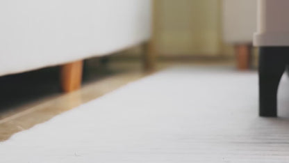 Aspirateur toilettage Chien